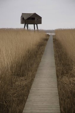 Sahildeki ahşap iskele.