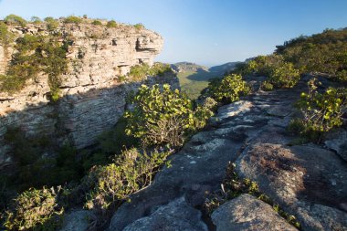 Güneşin yemyeşil olduğu kayalık manzaralı güzel bir manzara.