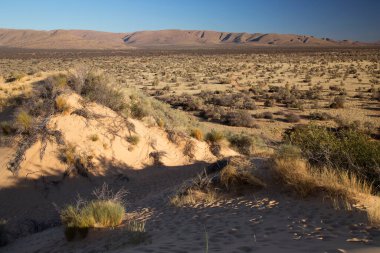 Çölün güzel manzarası