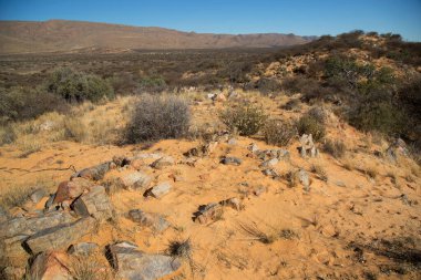 Çölün güzel manzarası