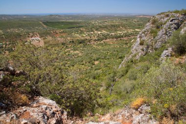 Dağların manzarası