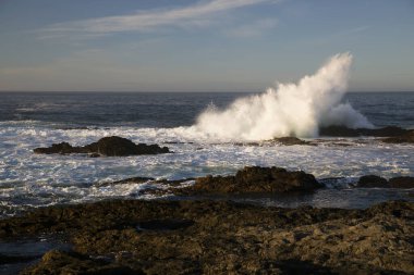 Dalgalar sahile çarpıyor.
