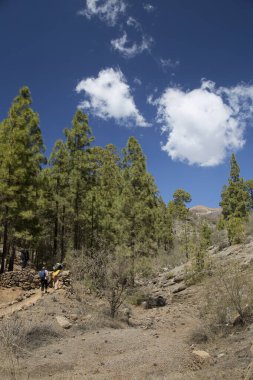 Dağlarda sırt çantalı tanınmayan turistler. Dağlarda sonbahar konsepti.