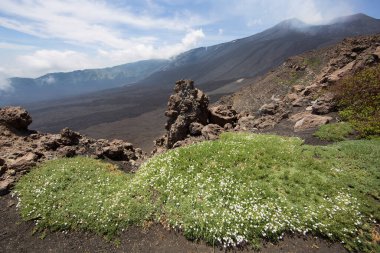 güzel dağlık volkanik manzaranın resimsel görüntüsü