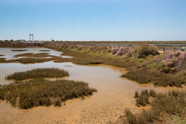 Sel basmış güneş manzarası