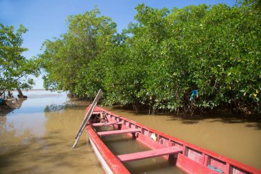 Renkli açık balıkçı tekneleri ve demirleyecek kalın direkleriyle bir mangrov gölünde doğal liman.