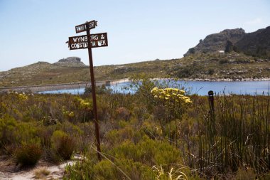 Dağlardaki güzel bir sahil manzarası