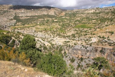Tipik engebeli dağ yaban hayatı.