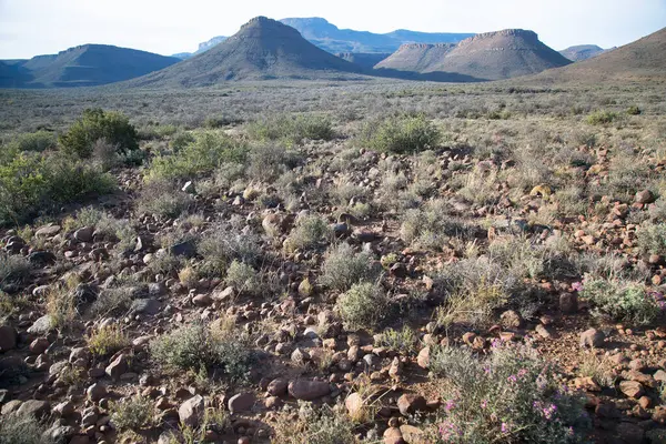 Muhteşem dağları olan güzel bir manzara.