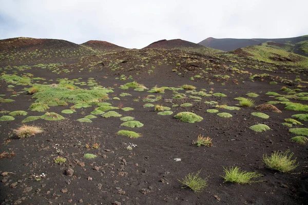 埃特纳山的火山口边缘熔岩场和陡峭的斜坡 由坚固的生存先锋植物繁茂的砾石石块制成 — 图库照片