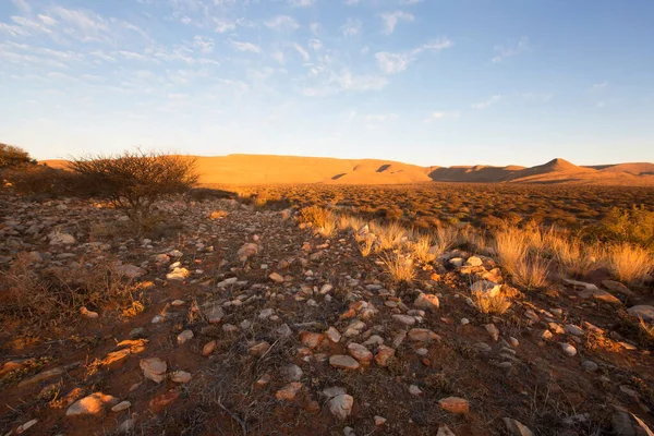 Bela Paisagem Área Deserto — Fotografia de Stock