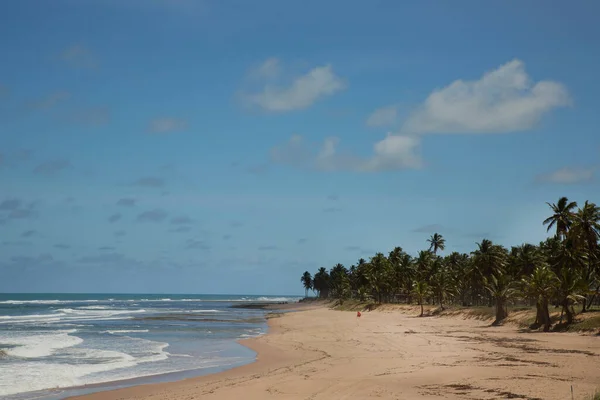 Belle Plage Tropicale Avec Palmiers — Photo