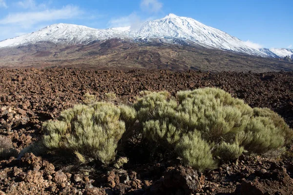 Vista Una Bella Scena Naturale Con Montagne — Foto Stock