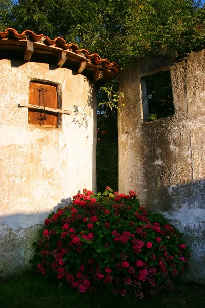 Casa Velha Cidade — Fotografia de Stock