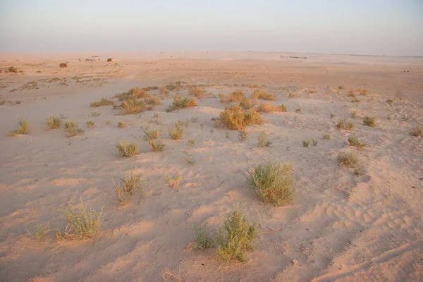 Gyönyörű Sivatagi Táj Természet Utazás — Stock Fotó