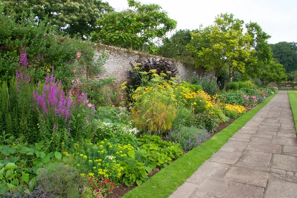 Flowers Park Garden Green Grass — Stock Photo, Image