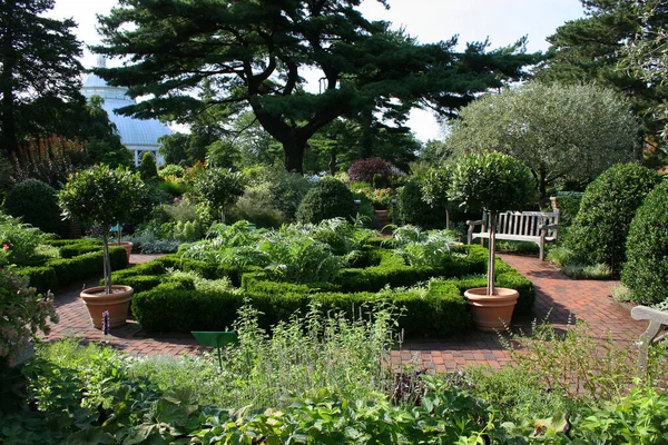 Vackra Gröna Botaniska Trädgård — Stockfoto