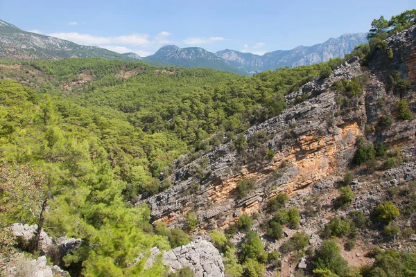 Hermosa Vista Los Pinos Las Montañas —  Fotos de Stock