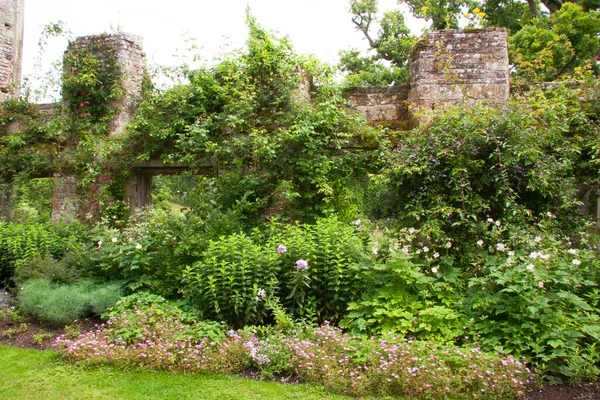 Ancient Ruins Surrounded Lush Greenery — Stock Photo, Image