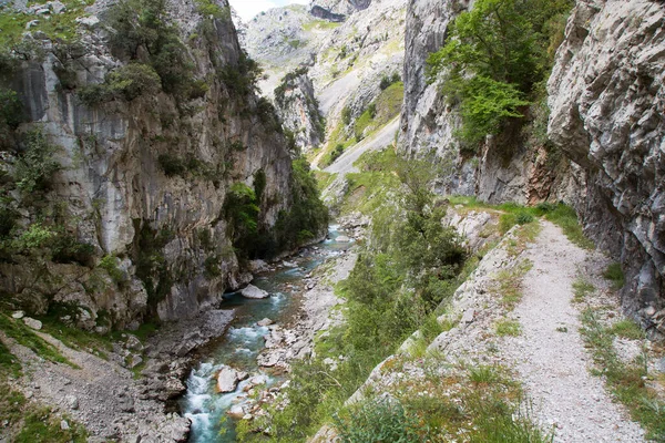 Dağ nehrinin güzel manzarası