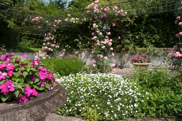 Weelderige Groene Tuin Scene Met Bloeiende Bloemen — Stockfoto