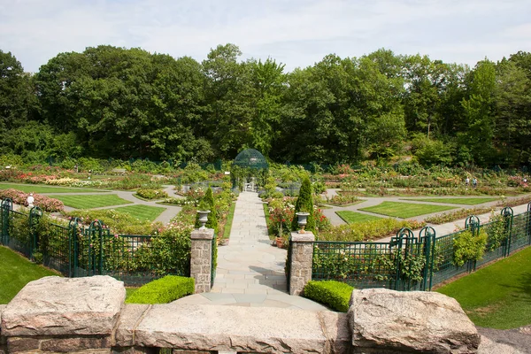 Güzel Çiçekler Bitkilerle Dolu Park — Stok fotoğraf