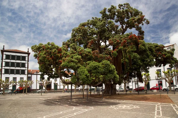 Hermosa Vista Plaza Del Casco Antiguo —  Fotos de Stock