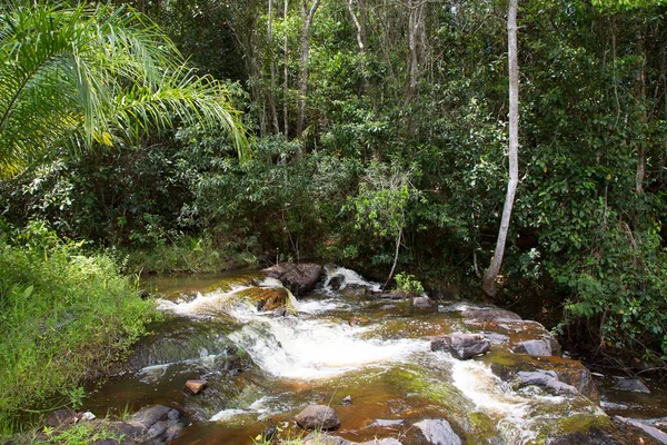 Vue Sur Rivière Rocheuse Qui Coule Dans Forêt Tropicale — Photo