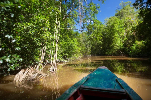 Vista Del Río Fangoso Vegetación Tropical Desde Barco —  Fotos de Stock