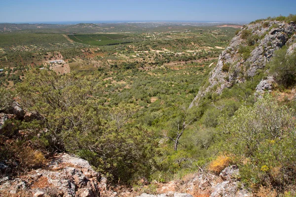 Dağların manzarası