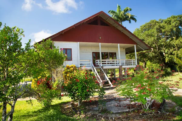 Hermosa Vista Naturaleza — Foto de Stock