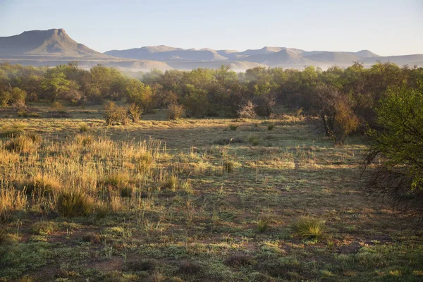 Ağacı ve dağı olan güzel bir manzara.