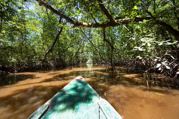 Yazın parktaki nehir manzarası