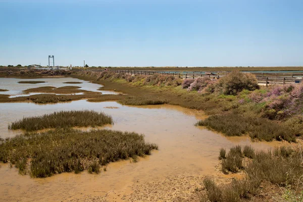 Sel basmış güneş manzarası