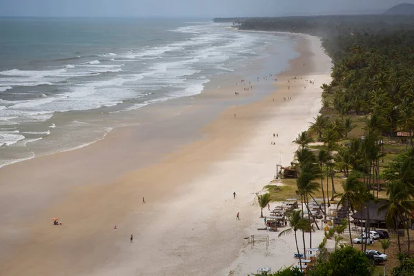 Schöner Tropischer Strand Mit Palmen — Stockfoto