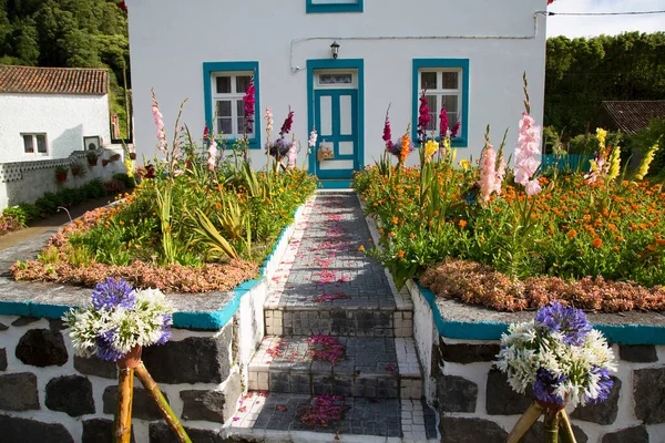 Hermosas Flores Jardín — Foto de Stock