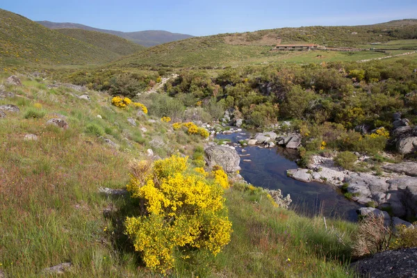 Dağların güzel manzarası. 