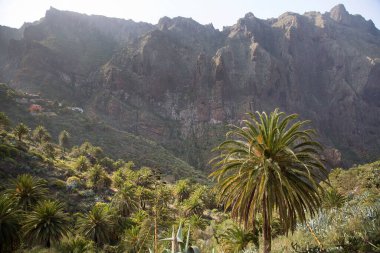 Dağların güzel manzarası