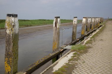 Çamurdaki ahşap çit