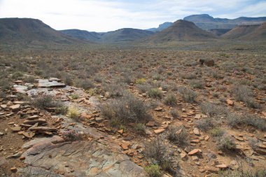 Muhteşem dağları olan güzel bir manzara.