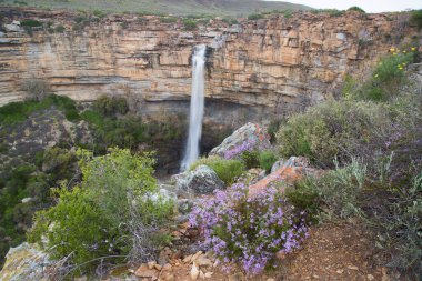 Dağlarda güzel bir şelale 