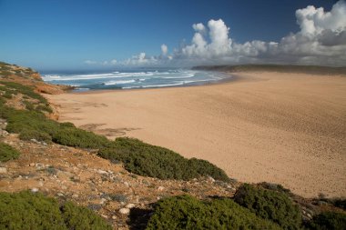 Sahilin güzel manzarası