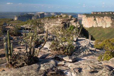Güneşin yemyeşil olduğu kayalık manzaralı güzel bir manzara.