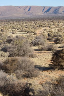 Çölün güzel manzarası