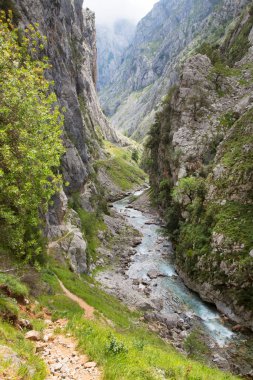 Dağlardaki dağ nehri