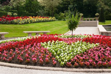 Yeşillik ve çiçek açan güzel botanik bahçesi