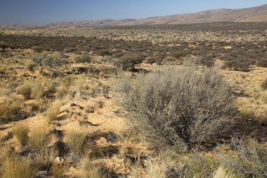 Çölün güzel manzarası