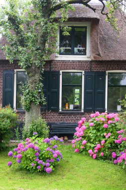 Çiçekleri ve bitkileri olan güzel bir bahçe.