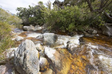 Dağları ve nehri olan güzel bir manzara.