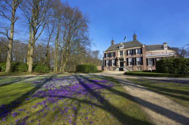 Parkın güzel manzarası